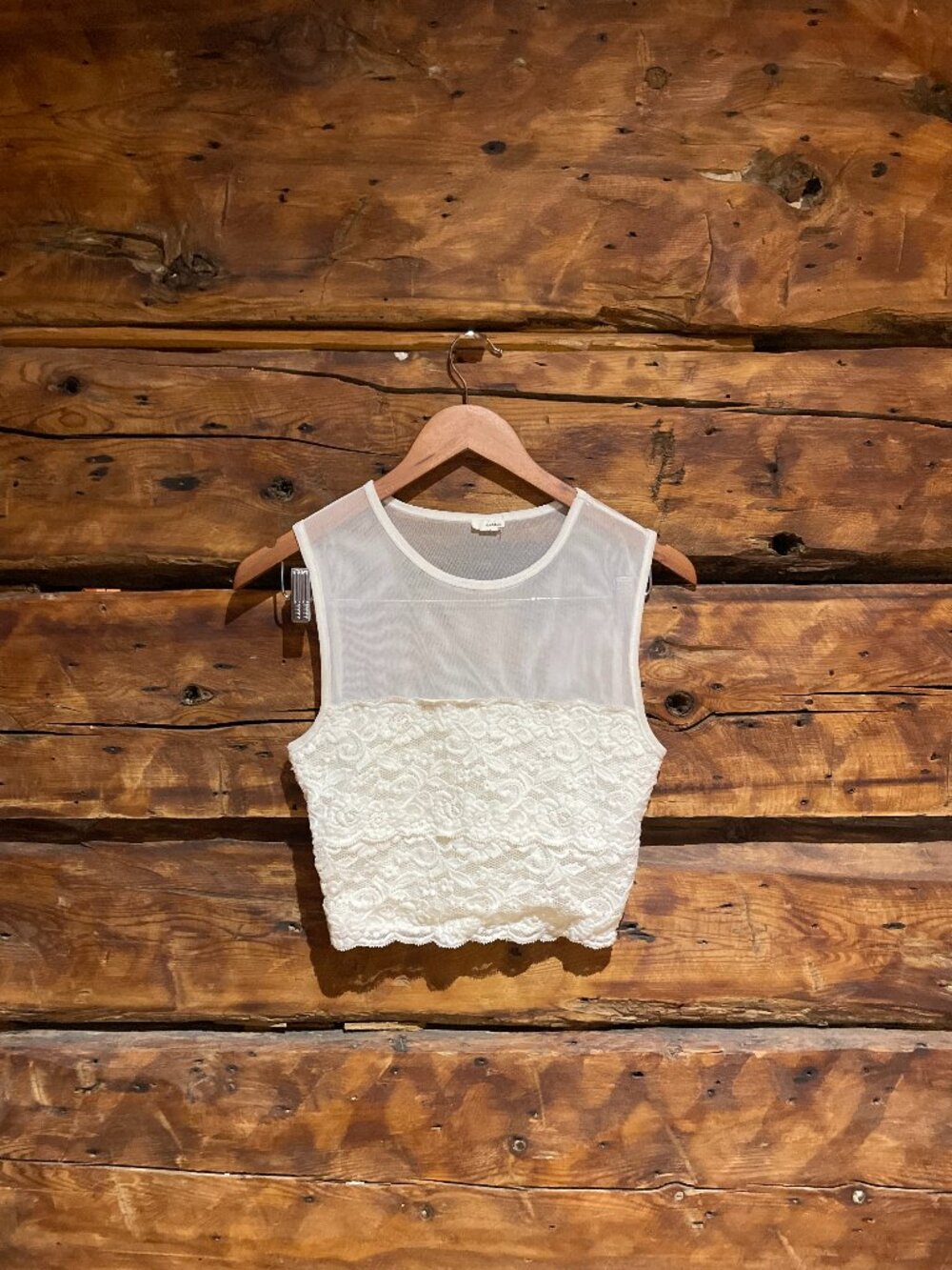 Y2K Garage Sheer Mesh & Lace Panel Crop Top